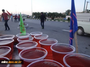 ایستگاه صلواتی به جهت سلامتی و تعجیل در فرج مولا اباصالح المهدی عج الله تعالی فرجه الشریف 3
