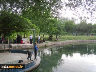 اردوی تفریحی همکاران به باغ پنجعلی 5