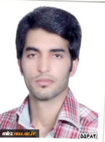قلعه نویی
