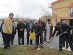 درختکاری در محوطه دانشکده به مناسب روز درختکاری 3