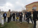 درختکاری در محوطه دانشکده به مناسب روز درختکاری 4