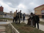 درختکاری در محوطه دانشکده به مناسب روز درختکاری 5