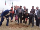 درختکاری در محوطه دانشکده به مناسب روز درختکاری 11