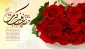 میلاد عقیله بنی هاشم، حضرت زینب کبری سلام الله علیها و روز پرستار مبارک باد