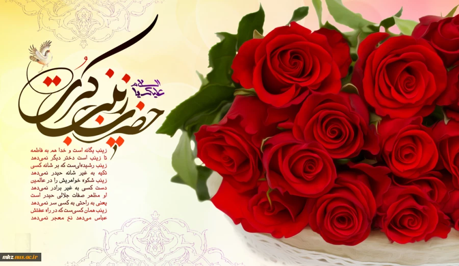 میلاد عقیله بنی هاشم، حضرت زینب کبری سلام الله علیها و روز پرستار مبارک باد 2