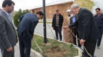 کاشت نهال های مثمر در دانشگاه فنی و حرفه ای امیرکبیر 11