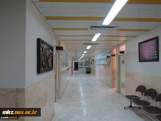 گالری تصاویر