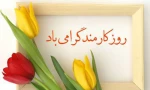 گرامیداشت هفته دولت