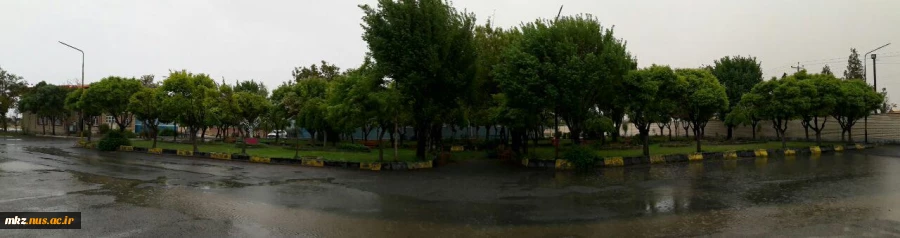 پس از بارندگی