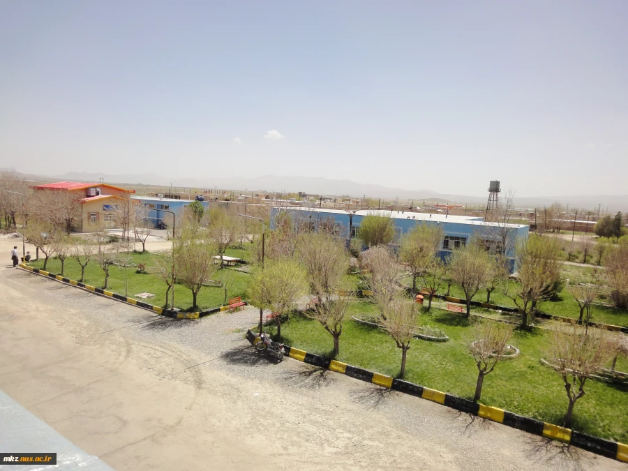 فضای سبز