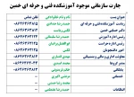 چارت سازمانی