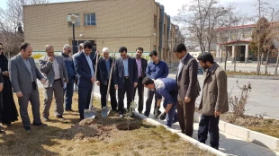 به مناسبت روز درختکاری، درختی برای زندگی  2