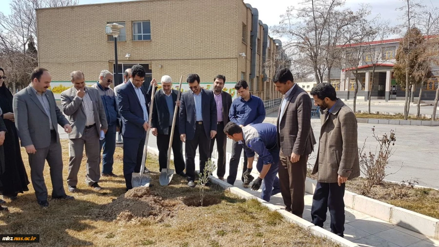 به مناسبت روز درختکاری، درختی برای زندگی  2