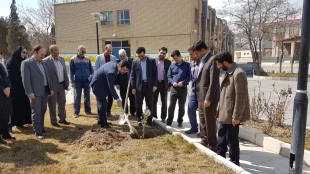 به مناسبت روز درختکاری، درختی برای زندگی  3