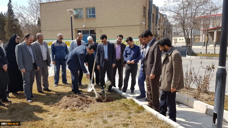 به مناسبت روز درختکاری، درختی برای زندگی  3
