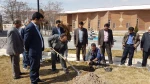 به مناسبت روز درختکاری، درختی برای زندگی  5