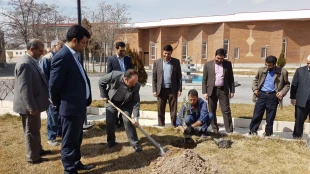 به مناسبت روز درختکاری، درختی برای زندگی  5
