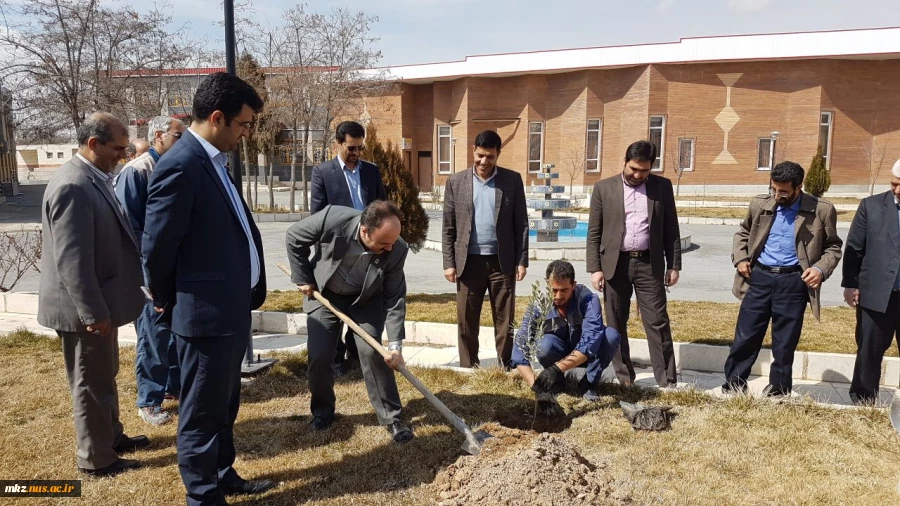 به مناسبت روز درختکاری، درختی برای زندگی  5