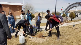 به مناسبت روز درختکاری، درختی برای زندگی  6