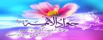 ولادت حضرت امام محمد تقی (ع) جوادالائمه مبارک باد 2