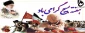 پیام تبریک دکتر مهرداد احمدی به مناسبت هفته بسیج