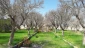 قسمتی از فضای سبز دانشکده