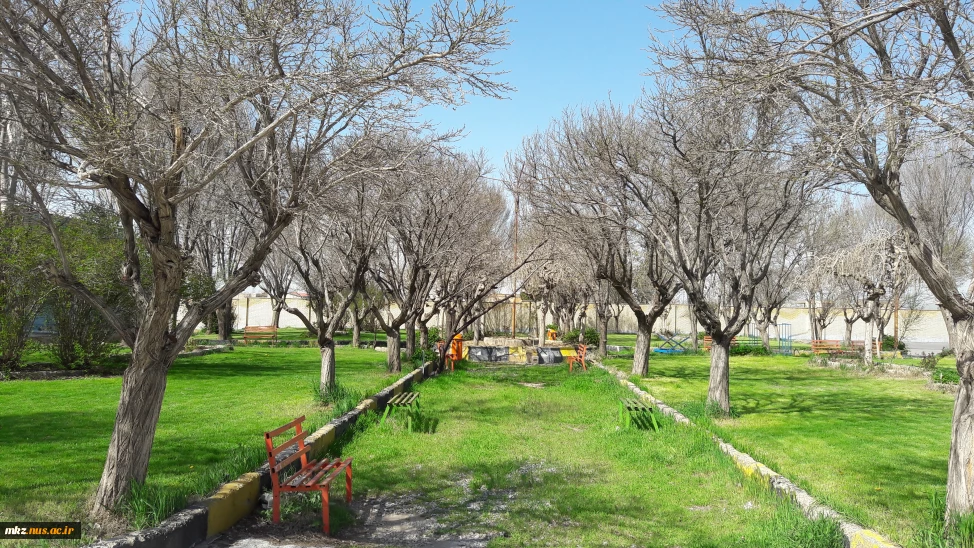 قسمتی از فضای سبز دانشکده
