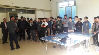 مسابقات دارت و تنیس