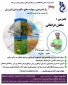 برگزاری وبینار ورزشی با موضوعیت راز تندرستی و مهارت های سالم زیستن با ورزش