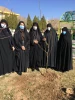 به مناسبت 15 اسفند ماه هفته درختکاری مراسم غرس نهال در دانشکده 3