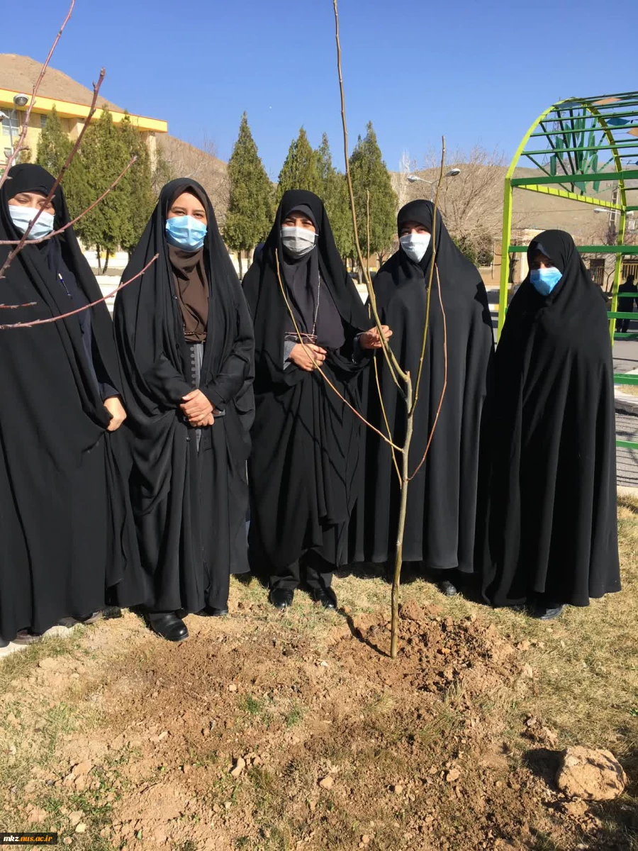 به مناسبت 15 اسفند ماه هفته درختکاری مراسم غرس نهال در دانشکده 3