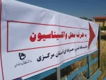 آغاز واکسیناسیون خودرویی دردانشگاه فنی و حرفه ای استان مرکزی 2