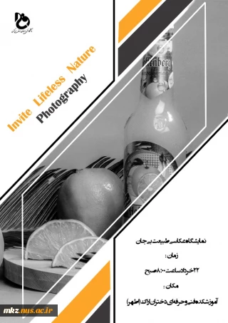 نمایشگاه عکاسی طبیعت بی جان