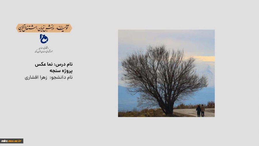 نما عکس