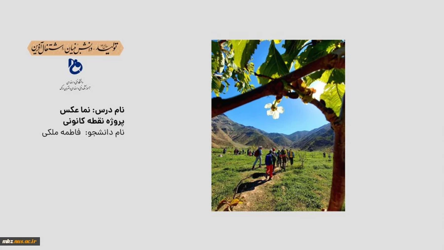 نما عکس