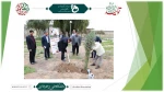 غرس دو اصله نخل مثمر در آموزشکده فنی و حرفه‌ای شهید چمران اهواز توسط دکتر خسرویان 2
