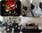 مناسبت اربعین حسینی