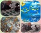 مناسبت نهم ربیع الاول آعاز امامت حضرت مهدی(عج)